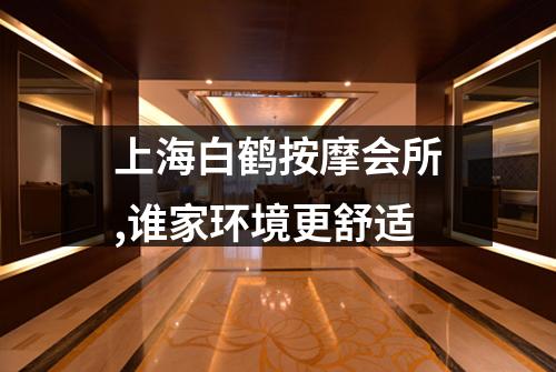 上海白鹤按摩会所,谁家环境更舒适