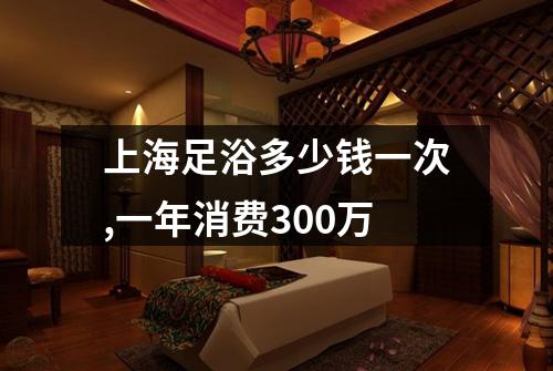 上海足浴多少钱一次,一年消费300万