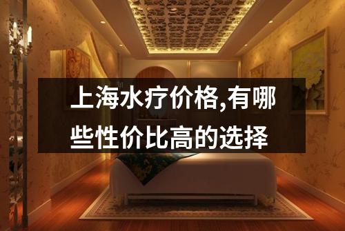 上海水疗价格,有哪些性价比高的选择