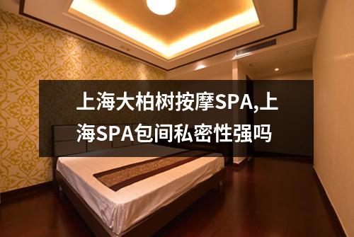 上海大柏树按摩SPA,上海SPA包间私密性强吗