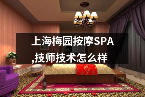上海梅园按摩SPA,技师技术怎么样