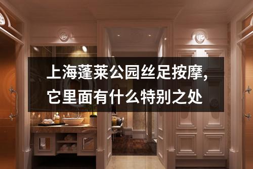 上海蓬莱公园丝足按摩,它里面有什么特别之处