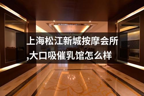 上海松江新城按摩会所,大口吸催乳馆怎么样
