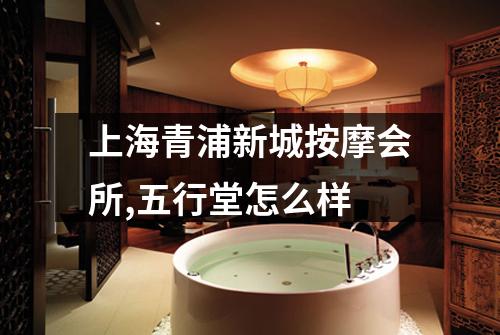 上海青浦新城按摩会所,五行堂怎么样