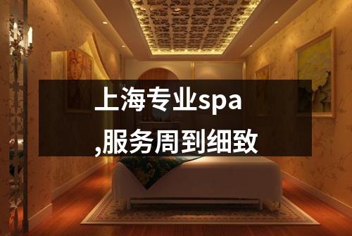 上海专业spa,服务周到细致