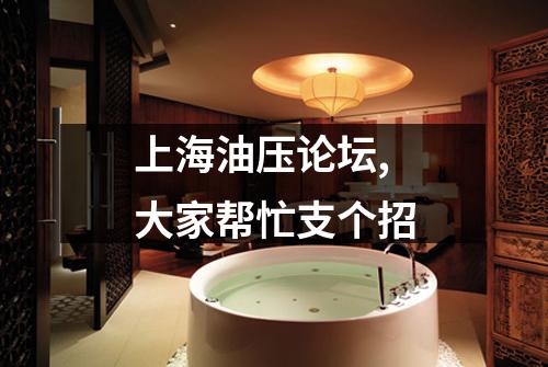 上海油压论坛,大家帮忙支个招