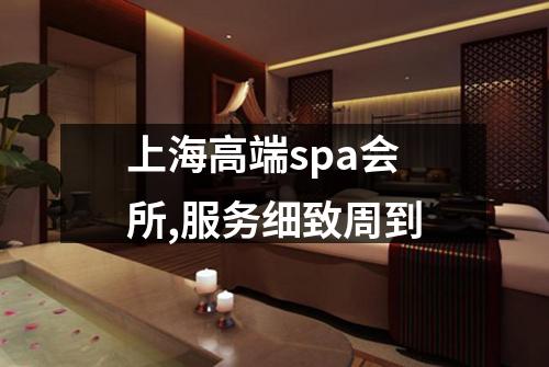 上海高端spa会所,服务细致周到