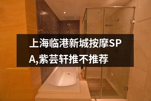上海临港新城按摩SPA,紫芸轩推不推荐