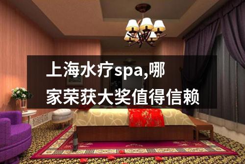上海水疗spa,哪家荣获大奖值得信赖
