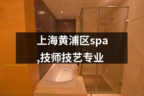 上海黄浦区spa,技师技艺专业