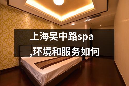 上海吴中路spa,环境和服务如何