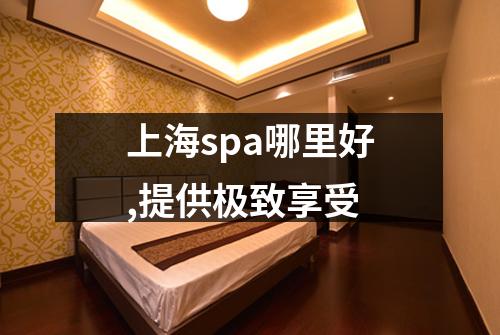 上海spa哪里好,提供极致享受