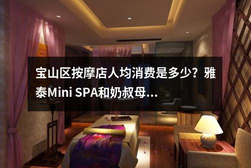 宝山区按摩店人均消费是多少？雅泰Mini SPA和奶叔母乳健康指导站的价格对比如何？