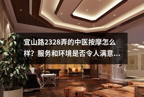 宜山路2328弄的中医按摩怎么样？服务和环境是否令人满意？