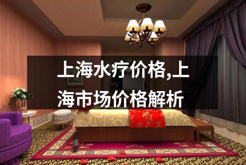 上海水疗价格,上海市场价格解析