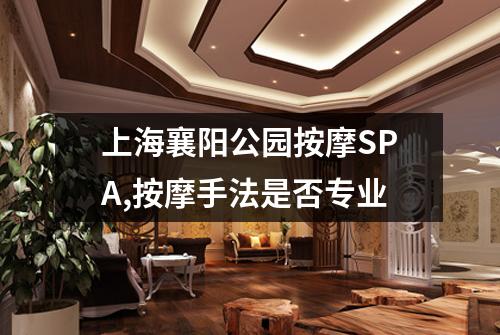 上海襄阳公园按摩SPA,按摩手法是否专业