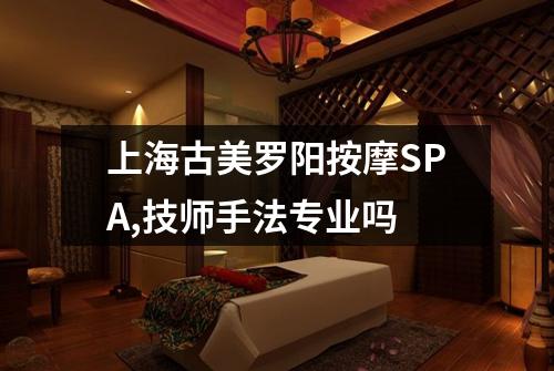 上海古美罗阳按摩SPA,技师手法专业吗