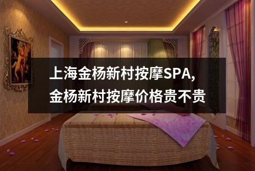 上海金杨新村按摩SPA,金杨新村按摩价格贵不贵