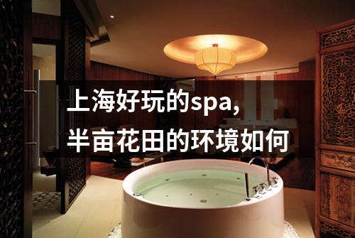 上海好玩的spa,半亩花田的环境如何