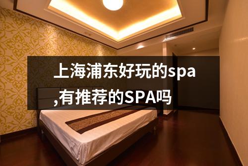 上海浦东好玩的spa,有推荐的SPA吗