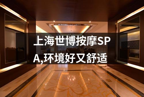 上海世博按摩SPA,环境好又舒适